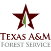Log on using TFS ID